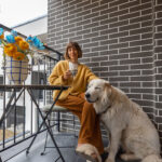 Κατοικίδιο σε περιβάλλον φροντίδας στο Groom Room